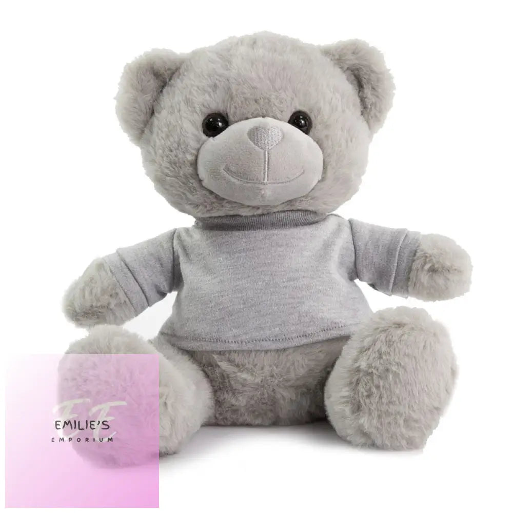 25Cm Grey Teddy Bear W/T Shirt