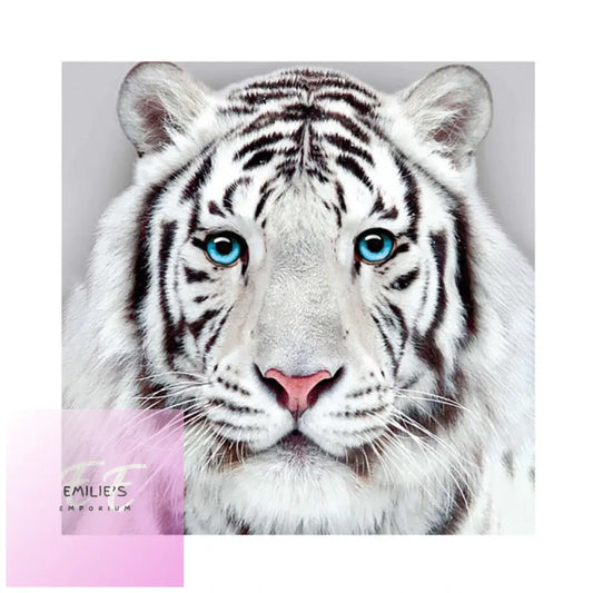 5D Diamond Art Blue Eyed White Tiger