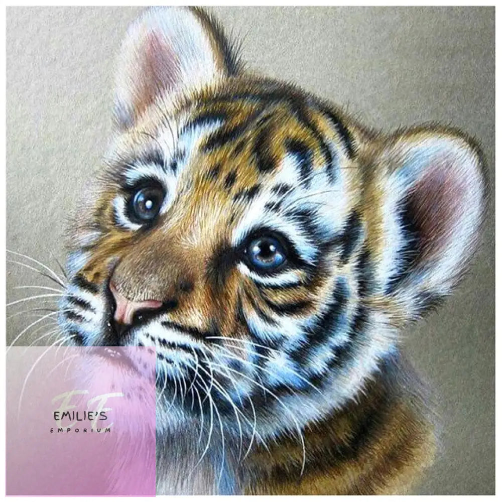 5D Diamond Art Orange Tiger Cub Face