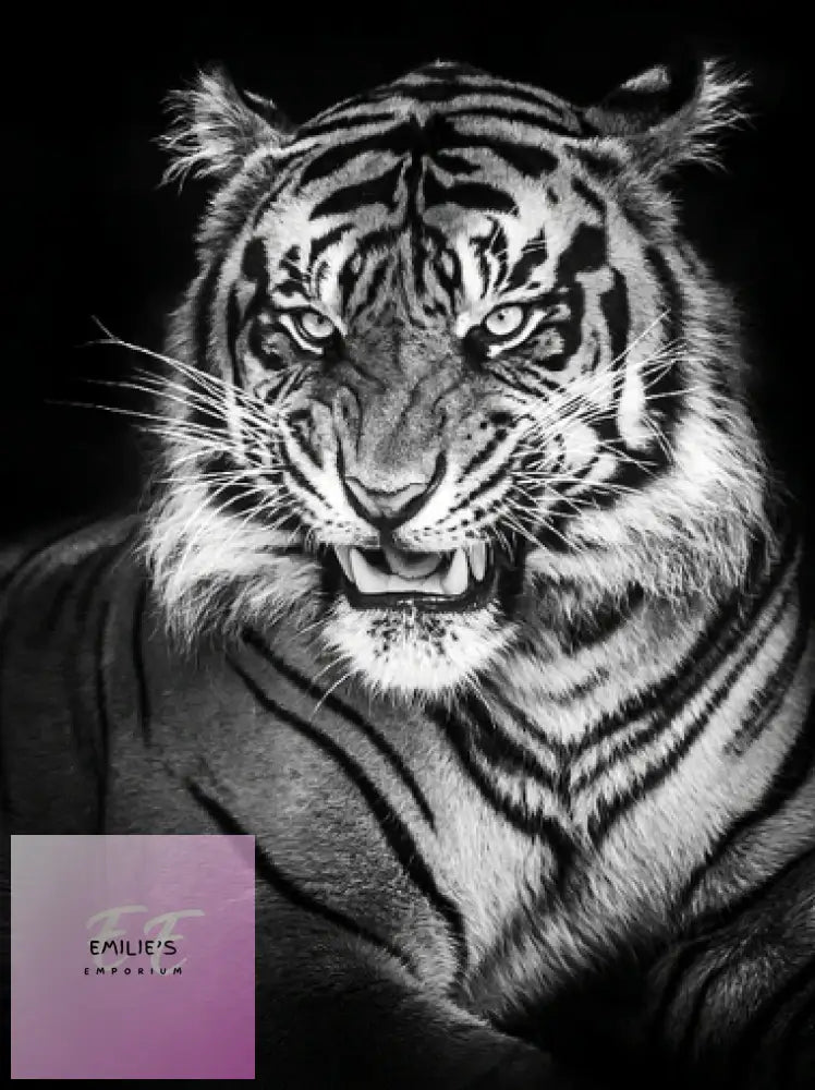 5D Diamond Art White Tiger