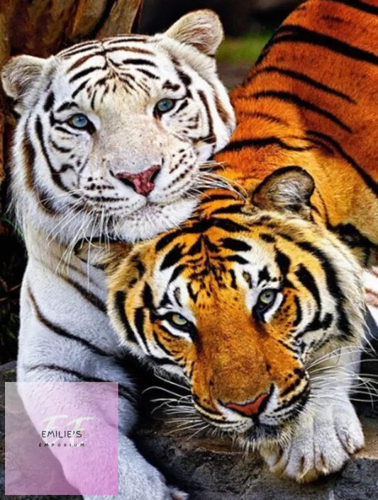 5D Diamond Art White & Orange Tigers Relaxing