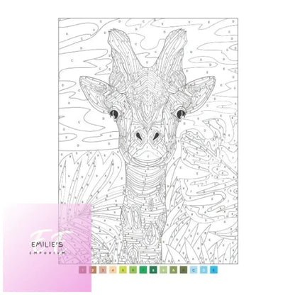 A4 Animals Nature Advanced Colour By Numbers Book - Assorted