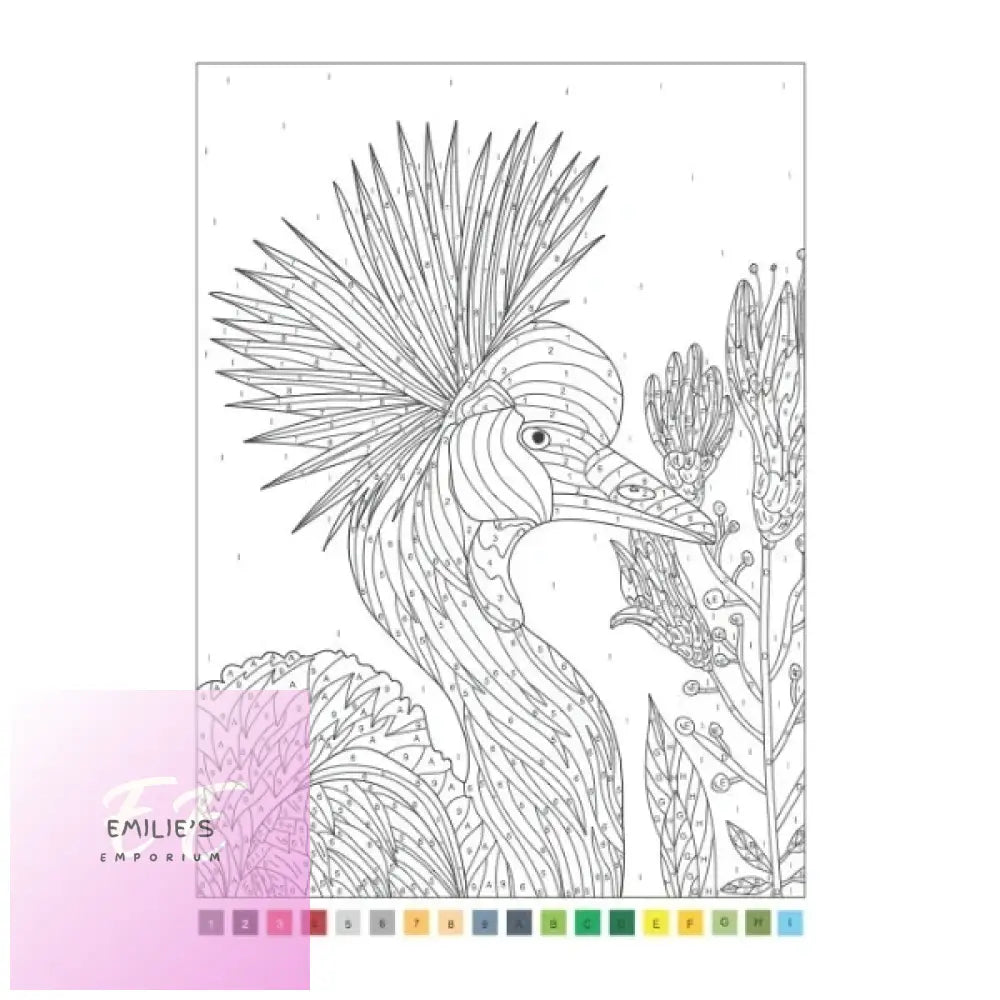 A4 Animals Nature Advanced Colour By Numbers Book - Assorted