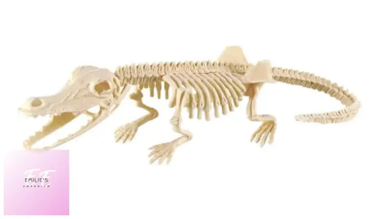 Alligator Dinosaur Fossil Excavation Kit