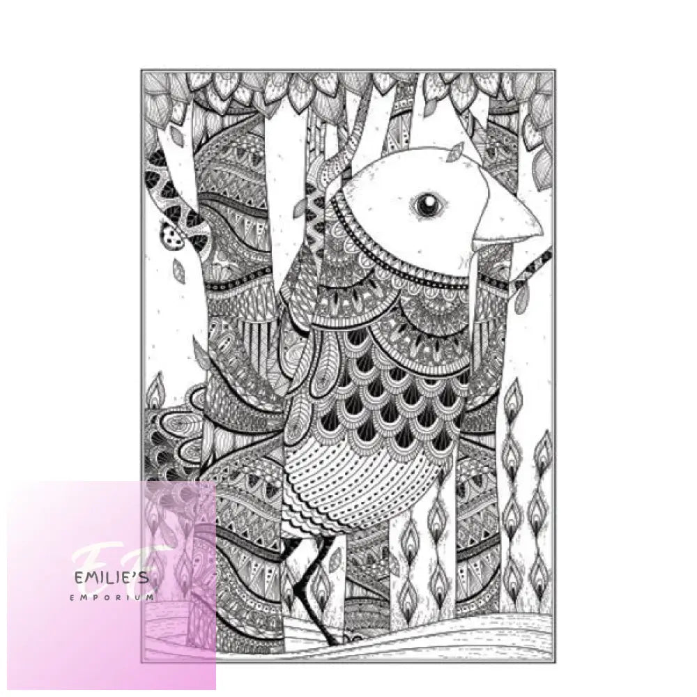 Beautiful Butterflies Birds Colouring Book - Assorted