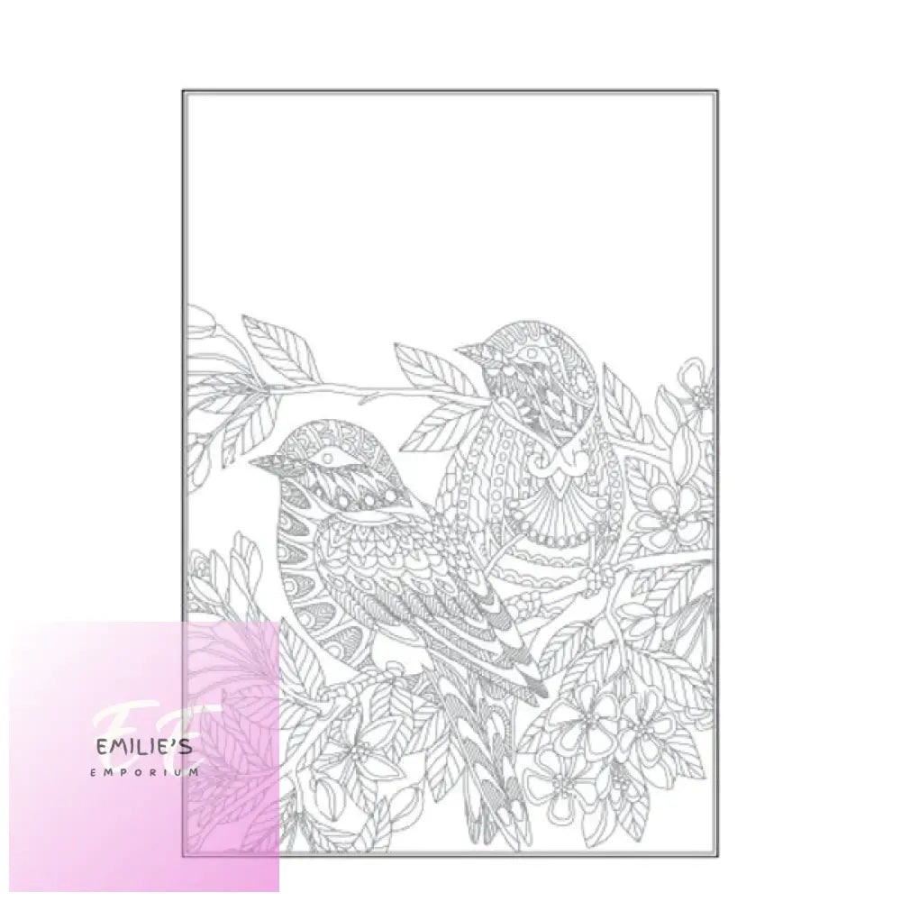 Beautiful Butterflies Birds Colouring Book - Assorted