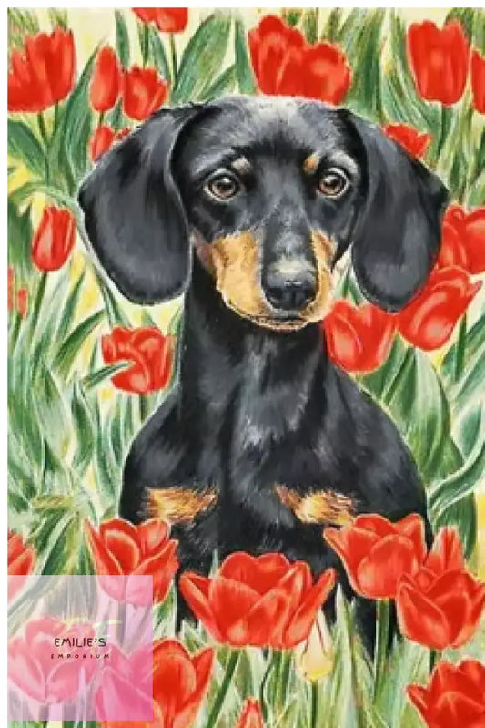 Dachshund In Red Flowers Diamond Art