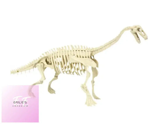 Diplodocus Dinosaur Fossil Excavation Kit
