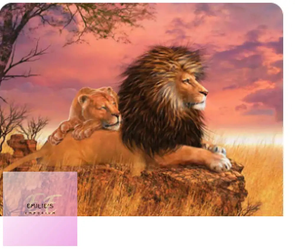 Lion & Lioness Diamond Art