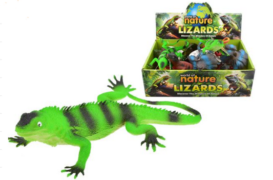 Display Of 24x World Of Nature Lizards