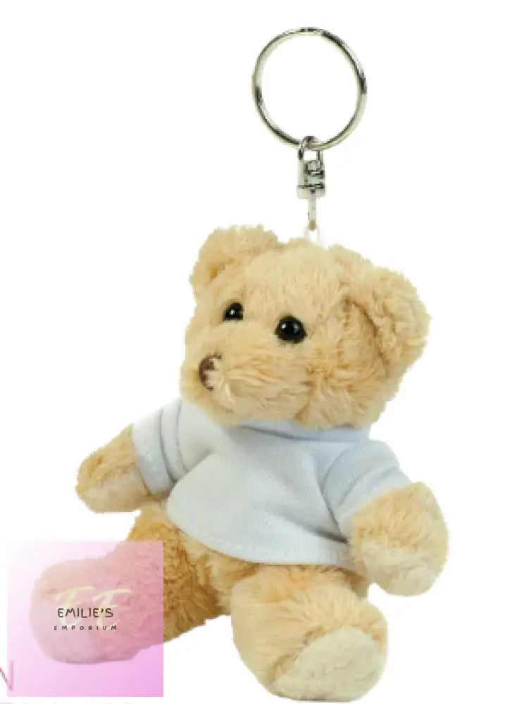 Mumbles Teddy Keyring