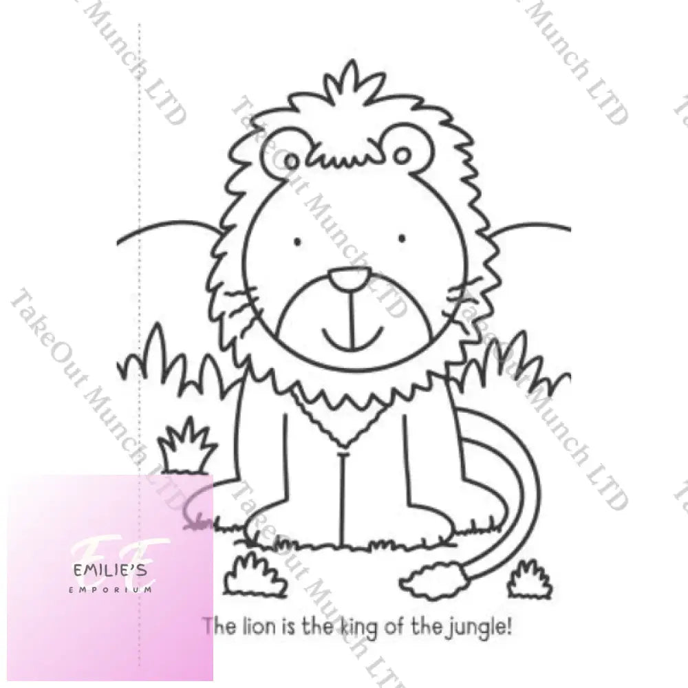 My First Animal / Things That Go Colouring Book - Assorted