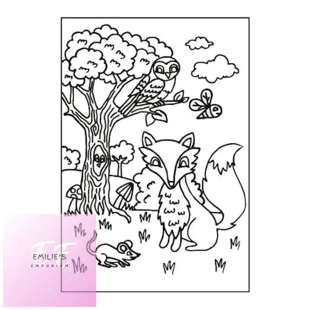 My Woodland Friends Colouring Book