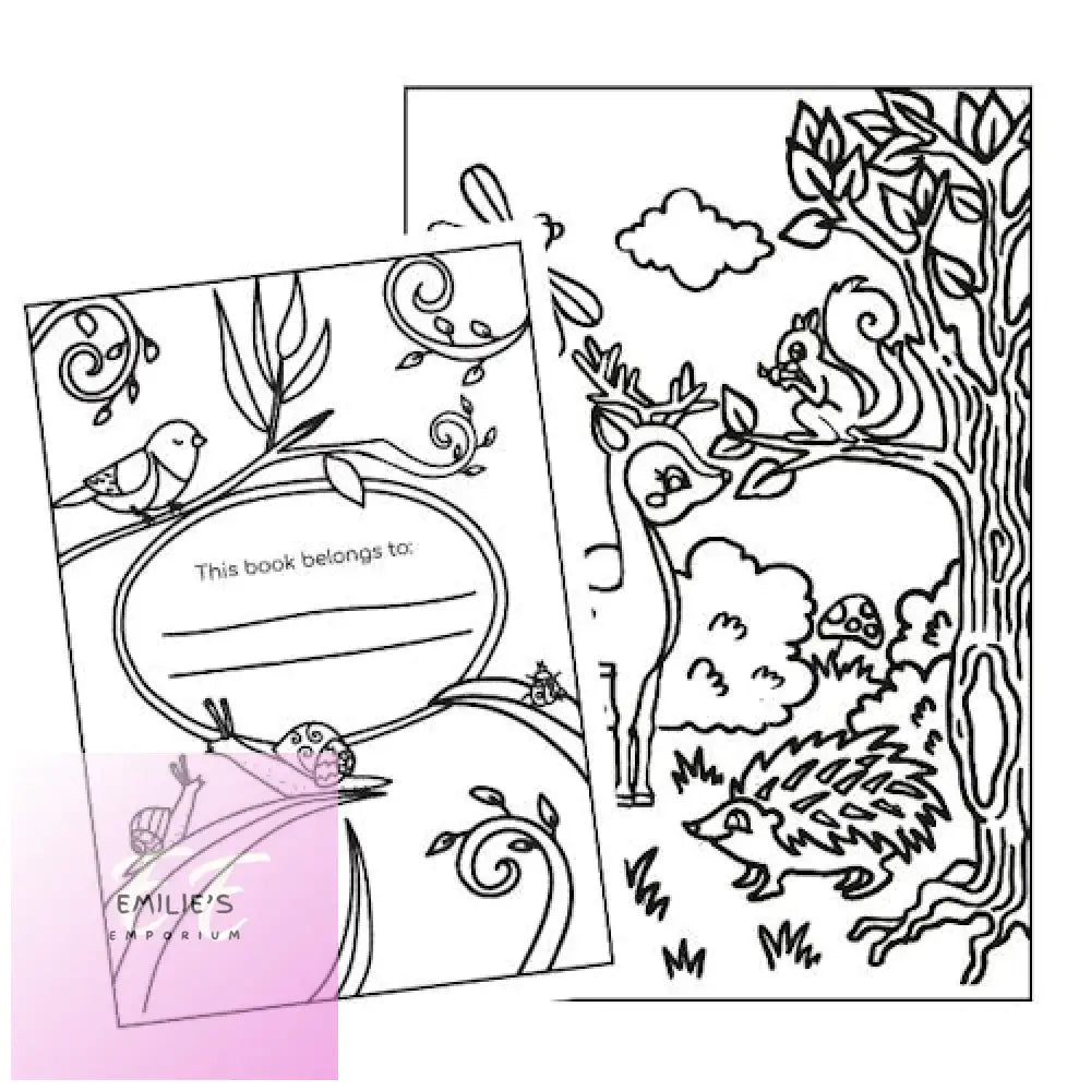 My Woodland Friends Colouring Book