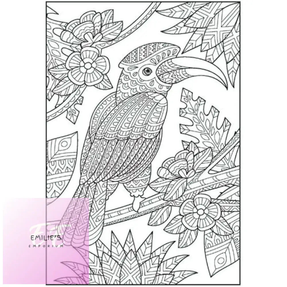 Patterns In Nature Advanced A4 Colouring Book