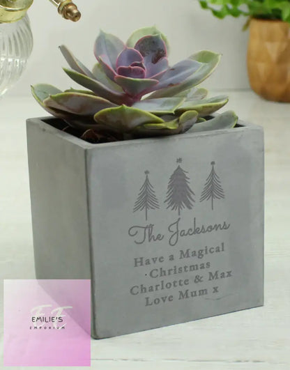 Personalised Christmas Tree Concrete Planter