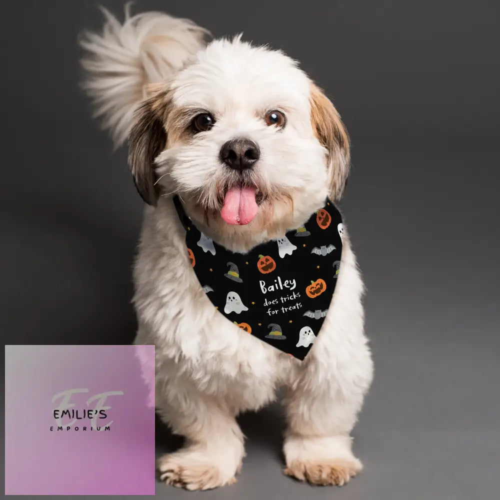 Personalised Halloween Dog Bandana