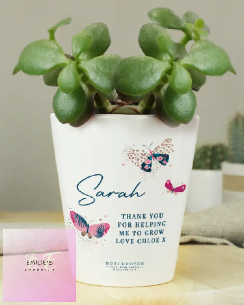 Personalised Hotchpotch Butterfly Plant Pot