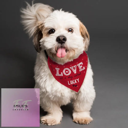 Personalised Love Is... Dog Bandana