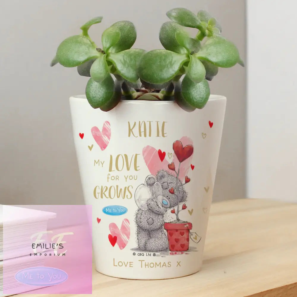 Personalised Me To You Hold Forever Plant Pot