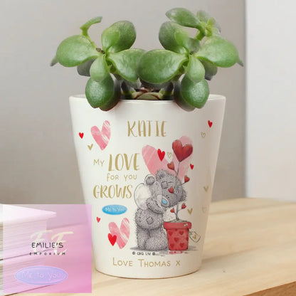 Personalised Me To You Hold Forever Plant Pot