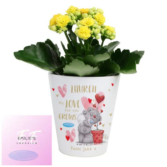 Personalised Me To You Hold Forever Plant Pot
