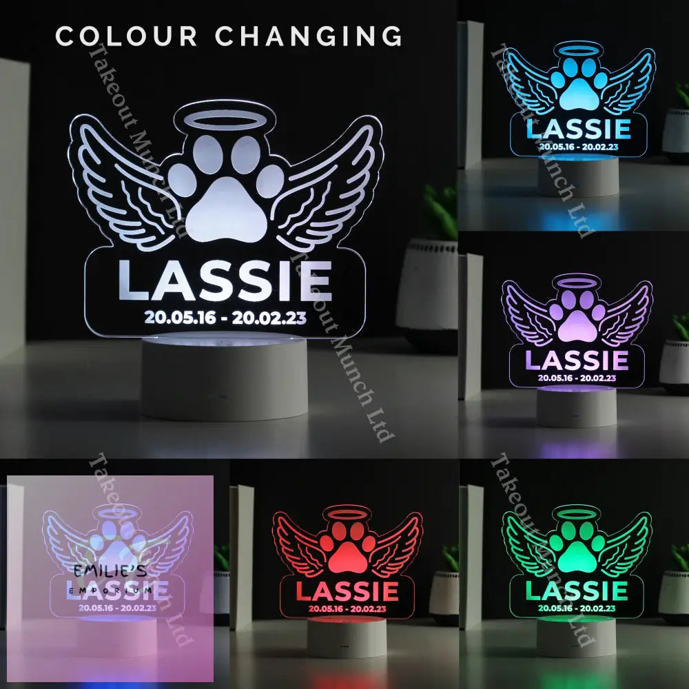 Personalised Pet Memorial Led Light