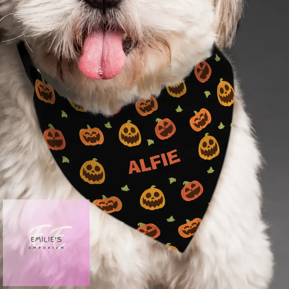 Personalised Pumpkin Patch Dog Bandana