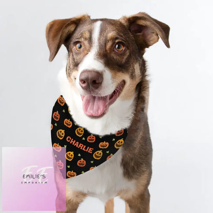 Personalised Pumpkin Patch Dog Bandana