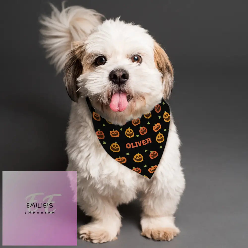 Personalised Pumpkin Patch Dog Bandana