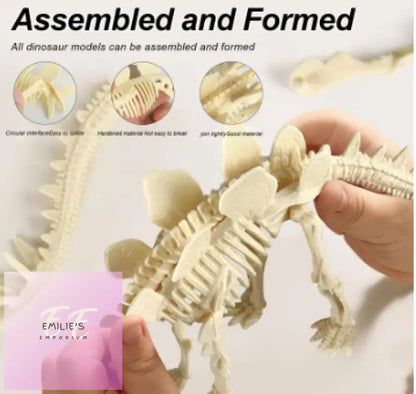 Pterosaur Dinosaur Fossil Excavation Kit