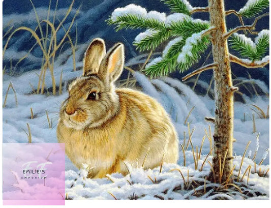 Rabbit In Snow 5D Diamond Art 20X25Cm