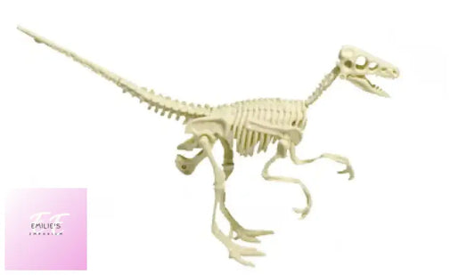 Raptor Dinosaur Fossil Excavation Kit