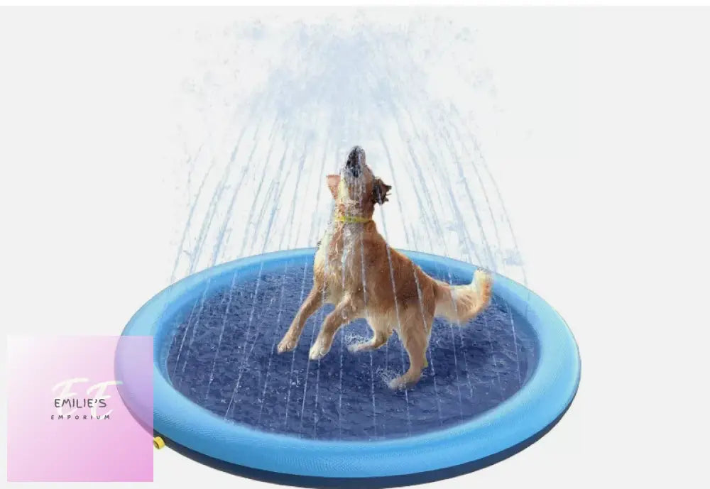 Splash Pad For Kids & Pets