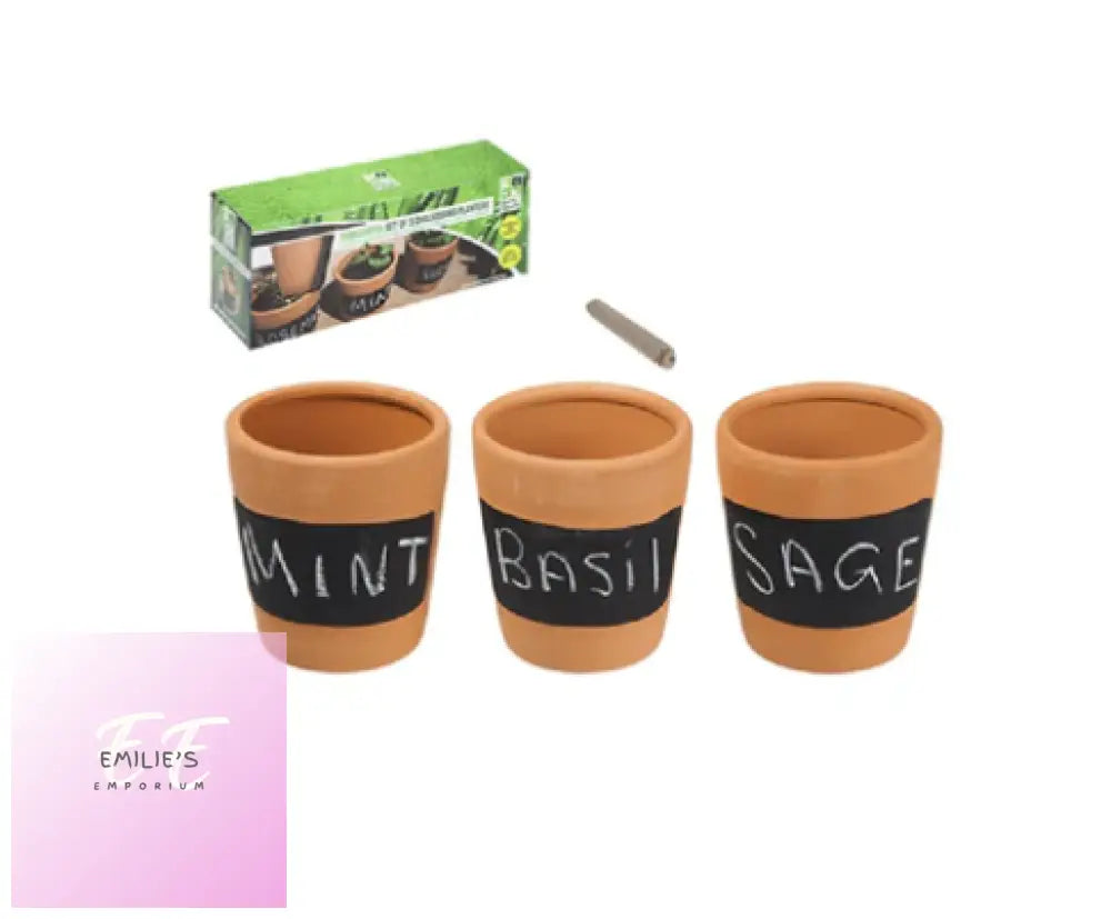 Terracotta Chalkboard Herb Planters - Set Of 3