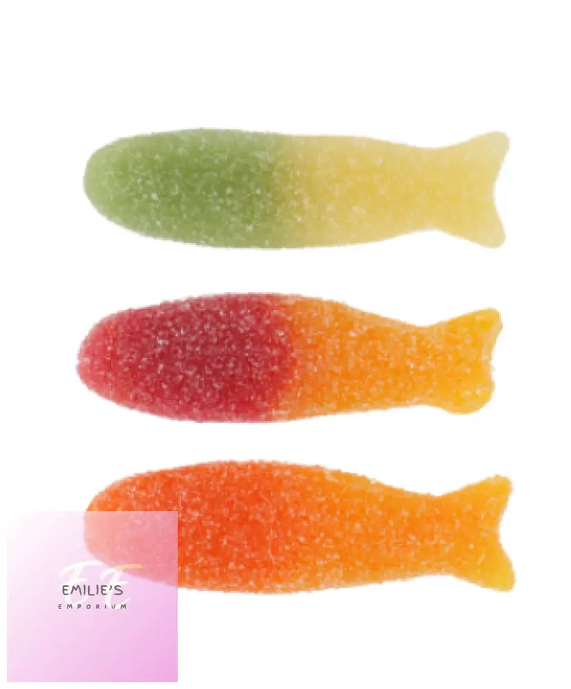 Yummy Gummy Fizzy Big Fish 800G Tub